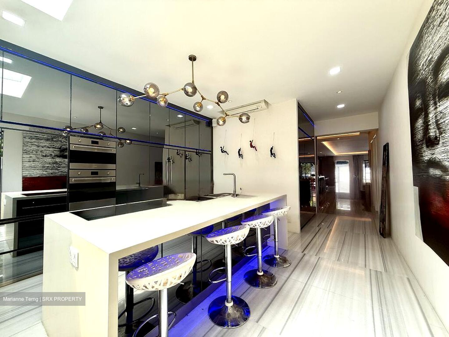 KENSINGTON PARK ROAD (D19), Terrace #484398501